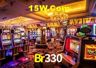 Br330 - Customer Support